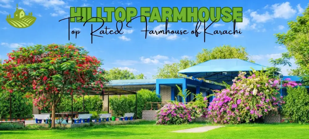 Hilltop Farmhouse